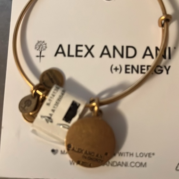 Alex and Ani Energy Braclet - Picture 5 of 6